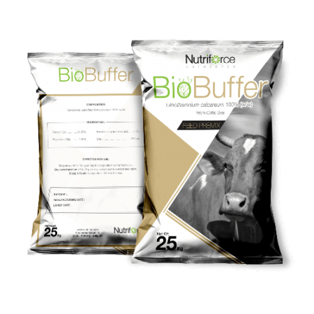 Biobuffer